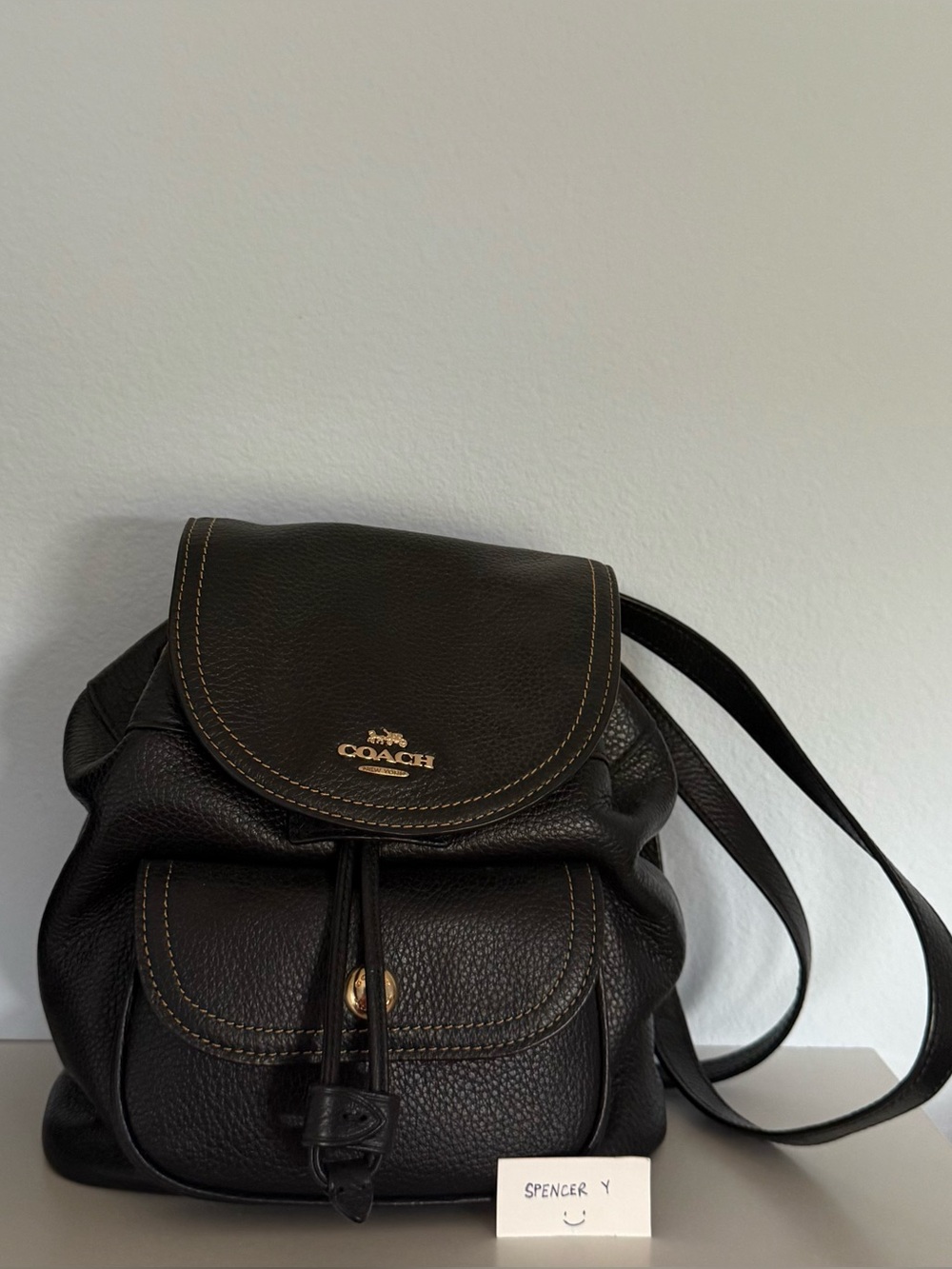 Coach Pennie Backpack 22